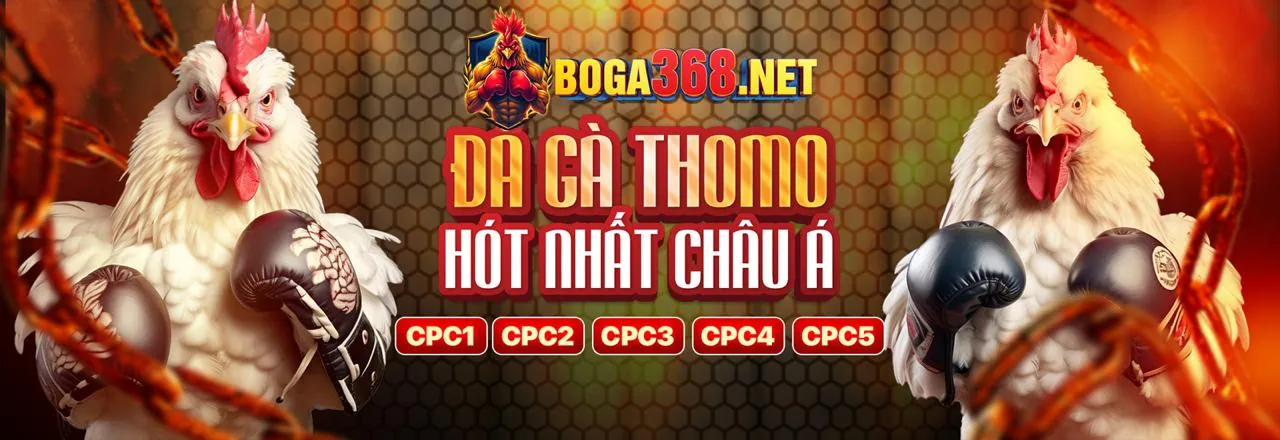 Hình ảnh banner giới thiệu các chương trình khuyến mãi tại 789bet